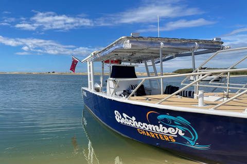 Cruzeiro de Pelicanos de Surfers Paradise para Wavebreak Island + piquenique