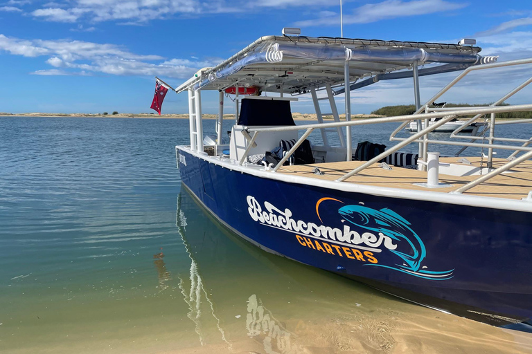 Cruzeiro de Pelicanos de Surfers Paradise para Wavebreak Island + piquenique