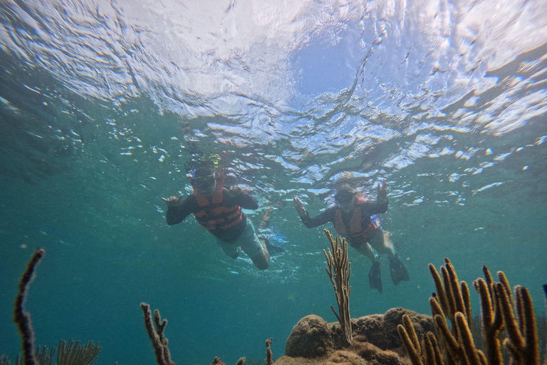 Cancun: Morze i dżungla - prywatna wycieczka do Puerto Morelos