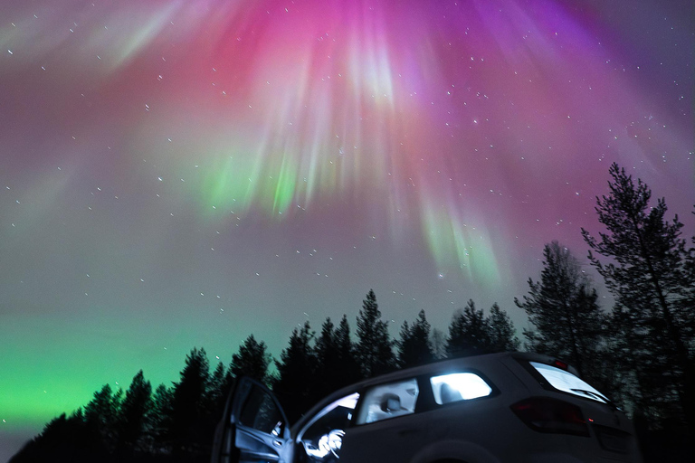 Levi: Guided Northern Lights Photography Experience