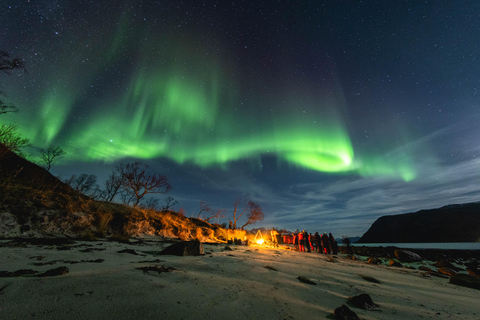 Tromsö: Norrsken i fokus tur, tyska/ engelska, minibuss, måltid