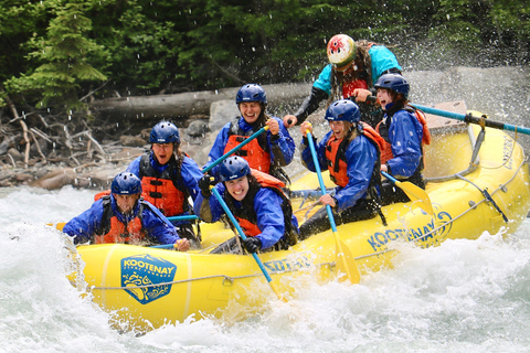 Golden, BC: Kicking Horse River Whitewater Rafting Adventure
