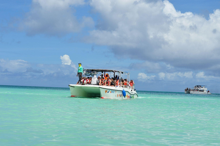 Punta cana: Saona Island and natural pool experience