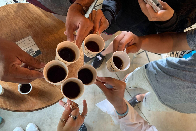 Tournée du café et du cacao à Minca !