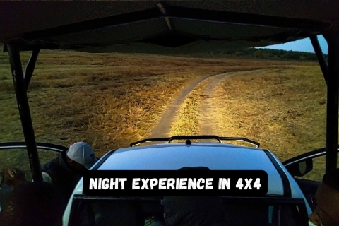 Victoria Falls: Experience Night Drive Victora Falls: Night experience in 4x4 Jeep