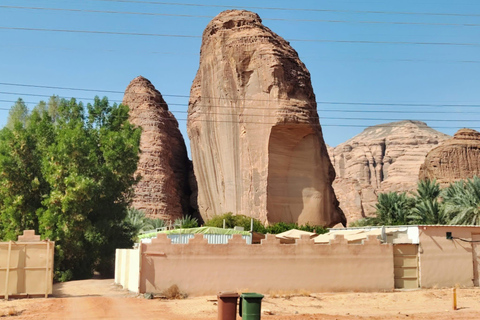Al-Ula: Hegra, Old Town, and Rock Elephant walk tour