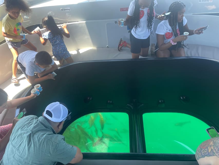 Long Beach Glass Bottom Boat Harbor Ecotour GetYourGuide
