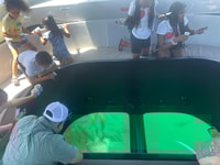 Long Beach, Glas Bottom Boat Harbor Ecotour - Housity