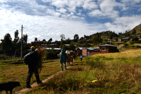 Lake Titicaca 2 days: Uros, Taquile and Luquina with an authentic local experience Lake Titicaca 2-day tour: Uros, Taquile, and Luquina with an authentic local experience