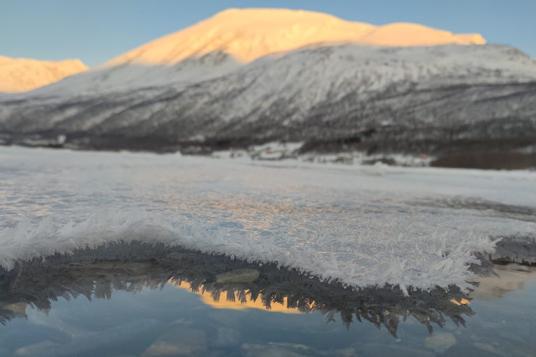 Nordreisa: guided snowshoe tour with a husky Guided snowshoe tour 2h with a husky & snack & campfire
