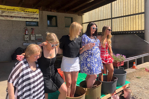 Spring Time Vineyards Milan’s Perfect Wine Tasting & Lunch