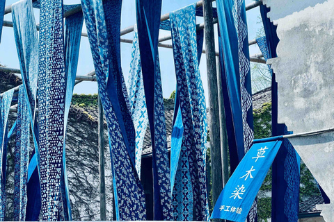 From Shanghai or Hangzhou: Wuzhen Water Town Private Tour From Shanghai: Wuzhen Water Town Private Tour