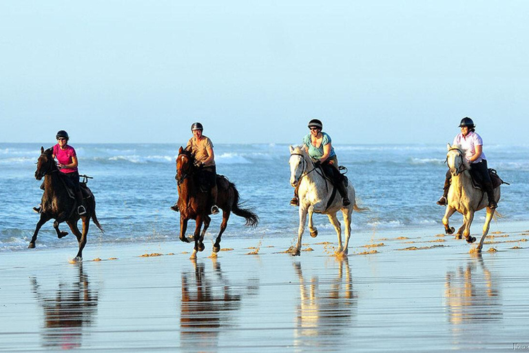 Agadir y Taghazout 2 horas a caballo y masaje relajanteAgadir o Taghazout: Paseo a caballo y masaje relajante