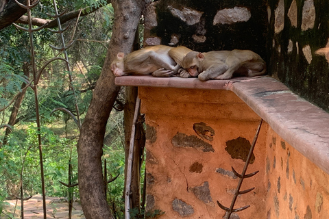 Delhi: Hidden-Gem Nature Oasis & Mudhouse Visit with Lunch