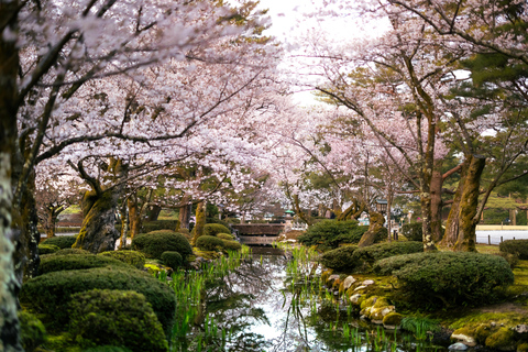 Kanazawa Full Day: Samurai, Matcha & Garden Experience.