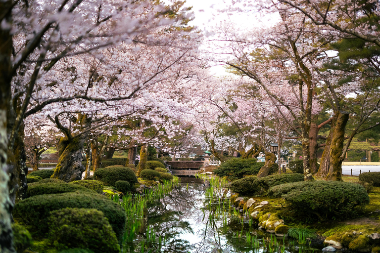 Kanazawa Full Day: Samurai, Matcha & Garden Experience.