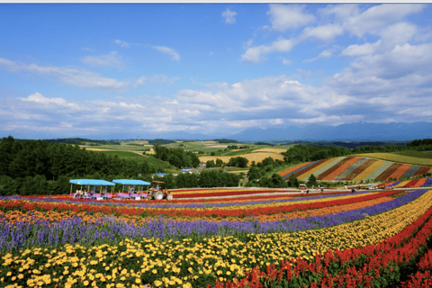 Vanuit Sapporo : Hokkaido Furano Tomita Boerderij Joiner Tour