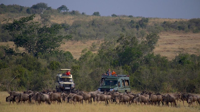 Nairobi: 3-Day Rift Valley Safari with Lodging & Meals