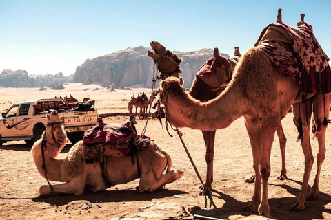 Tour privado de 4 días con 2 noches en PetraTour privado y alojamiento en tienda clásica de Wadi Rum