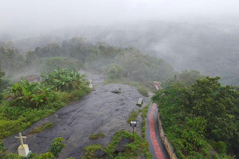 Kochi: Höhlen, Wasserfälle und Aussichtspunkt – TagestourTagestour in der Natur von Kochi: Höhlen, Wasserfälle und Aussichtspunkt