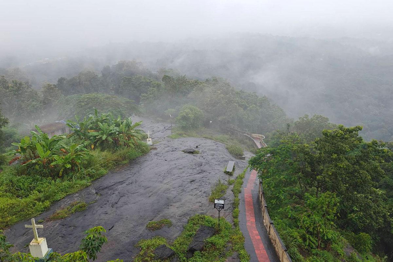 Kochi: Höhlen, Wasserfälle und Aussichtspunkt – TagestourTagestour in der Natur von Kochi: Höhlen, Wasserfälle und Aussichtspunkt