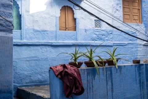 Fuerte Mehrangarh y Visita a la Ciudad Azul con Guía Profesional