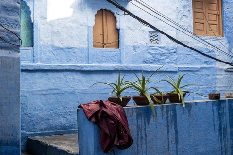 Fuerte Mehrangarh y Visita a la Ciudad Azul con Guía Profesional