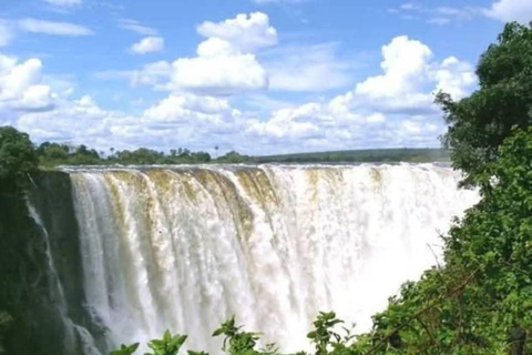 Zambia, Zimbabwe & Botswana: 3-Country Safari Adventure