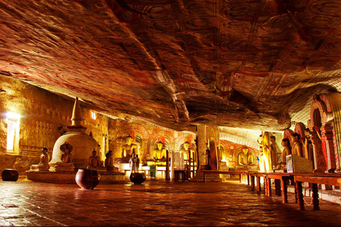 Sigiriya: jednodniowa wycieczka do jaskini Dambulla z Kolombo