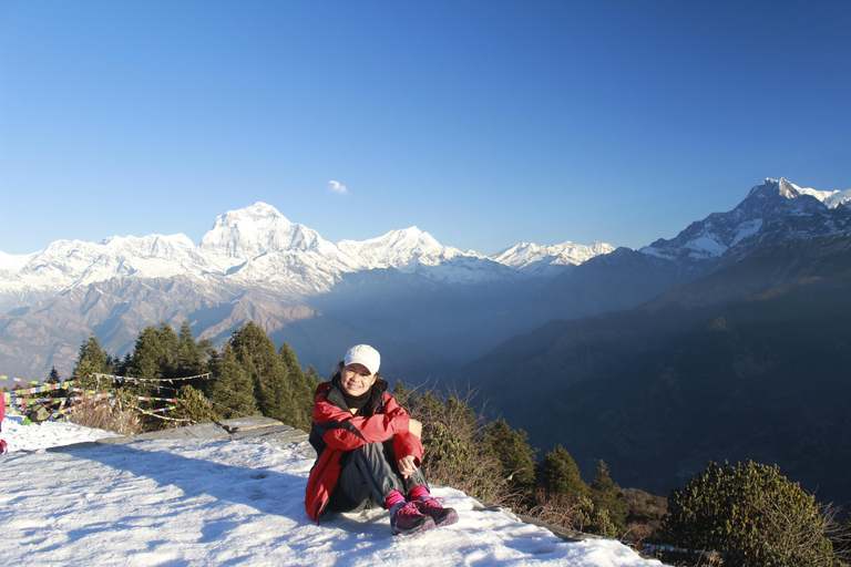 Pokhara: 1 Day Poon Hill Sunrise Hike with Transfer