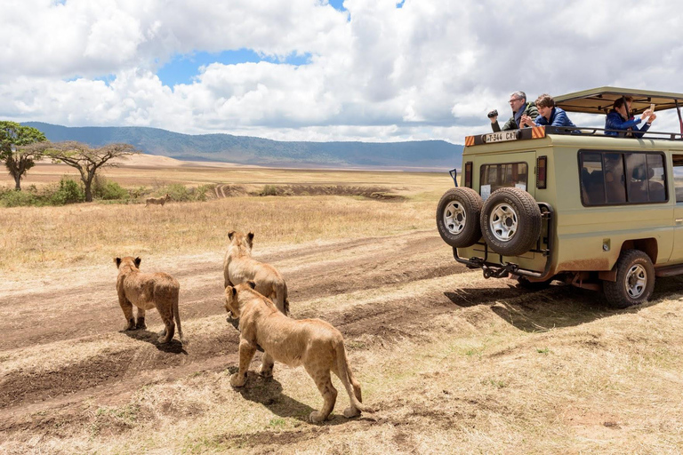 9 DAGARS SAFARI I KENYAS VILDA DJUR OCH STRANDSEMESTER I MOMBASA