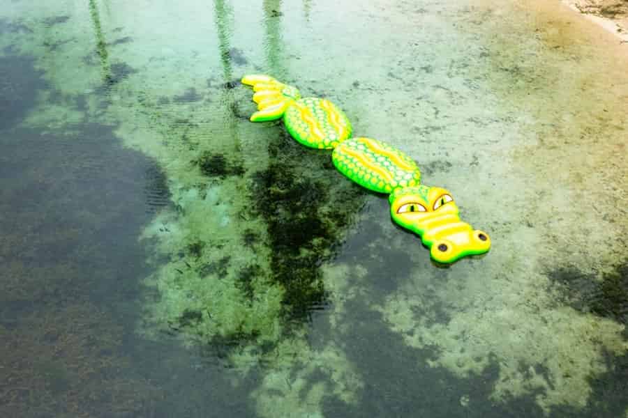 Panama City Beach: Vortex Springs – Ausflug mit Mittagessen. Foto: GetYourGuide Panama City Beach: Vortex Springs – Ausflug mit Mittagessen. Foto: GetYourGuide