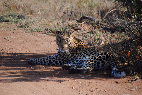 Mid-High End 5 Tage all-inclusive Kruger &amp; Pano Tour von JHB