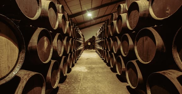 Jerez: Tour Bodegas Páez Morilla ENGLISH/DEUTSCH