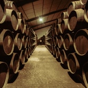 Jerez: Tour Bodegas Páez Morilla ENGLISH/DEUTSCH