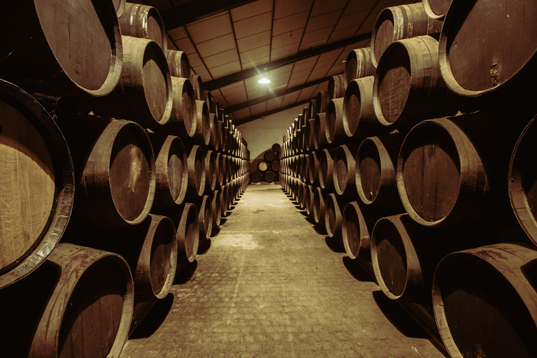 Jerez : Visite des Bodegas Páez Morilla ESPAGNOL/ITALIEN