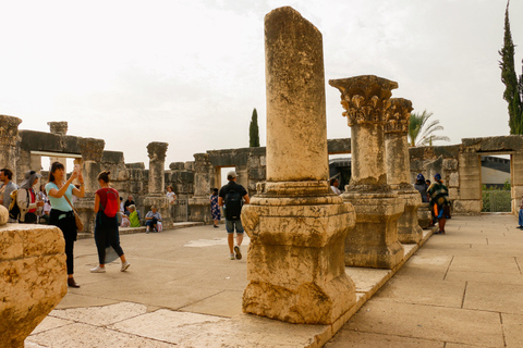 Da Gerusalemme: tour di un giorno in Galilea