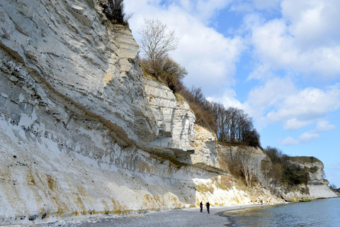 Stevns Klint UNESCO Site &amp; Woud toren Tour vanuit Kopenhagen