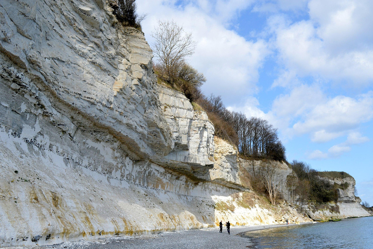 Visite du site de Stevns Klint et de la tour forestière au départ de Copenhague