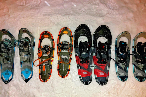 Tromsø Street to Wilderness: Guided Snowshoe Hike