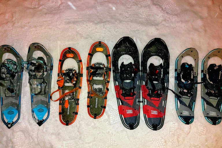 Tromsø Street to Wilderness: Guided Snowshoe Hike