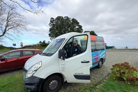 Van Tour - Lagoa do Fogo ( Half day)