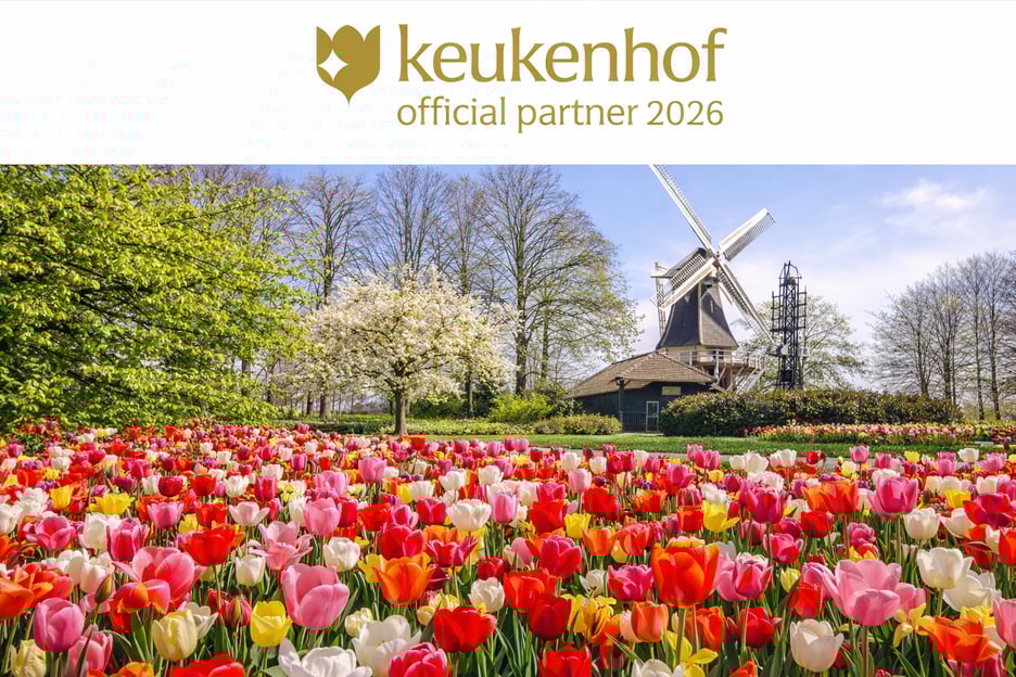 Amsterdam: ingresso al Keukenhof e bus navetta con ritorno flessibile