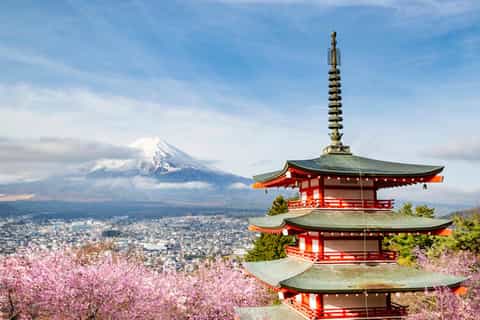 Ancient Cedar Avenue, Hakone - Book Tickets & Tours | GetYourGuide