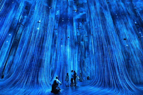 Abu Dhabi: Blue Mosque & teamLab Phenomena Tour with Entry Abudhabi: Full Day Premium Pass Tour With 24K Gold Coffee
