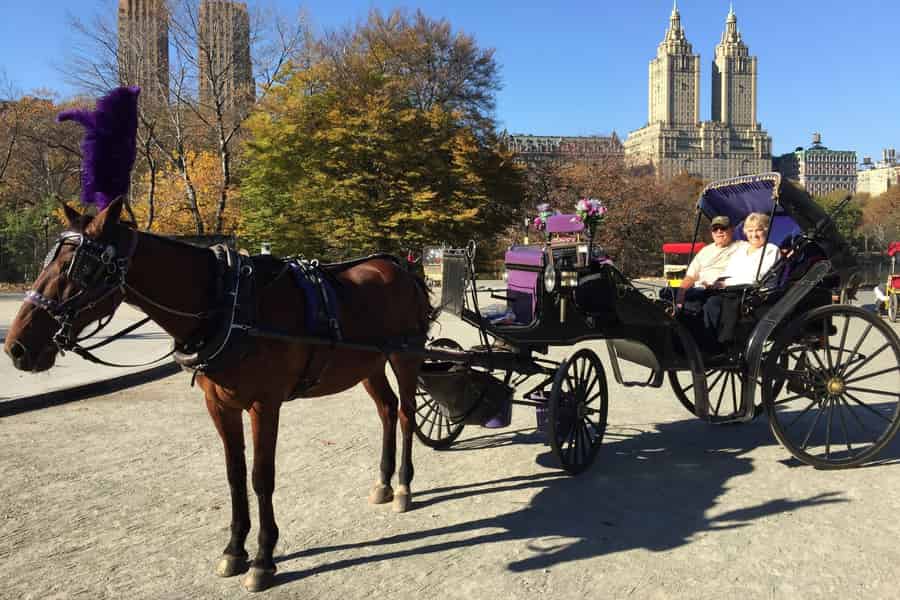 NYC: Lange Kutschfahrt im Central Park mit Fotostopp. Foto: GetYourGuide NYC: Lange Kutschfahrt im Central Park mit Fotostopp. Foto: GetYourGuide