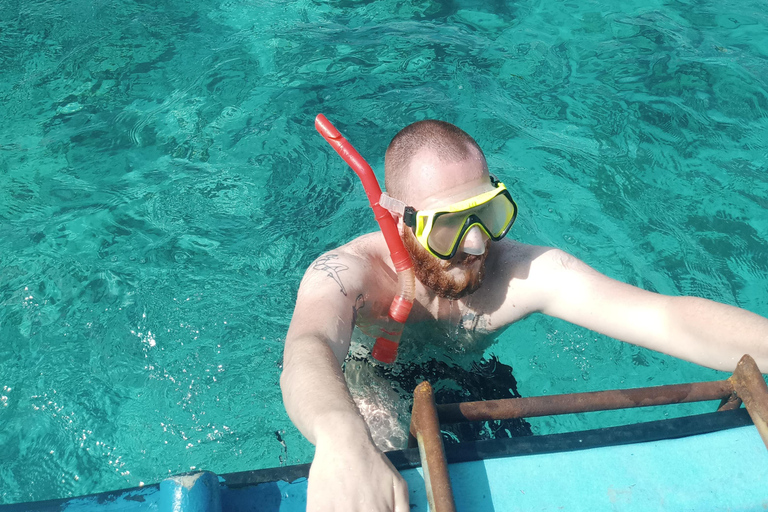 Mnemba-eiland Zwemmen met dolfijnen en snorkelen