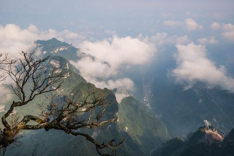 Zhangjiajie: Grand Canyon & Glass Bridge Trip