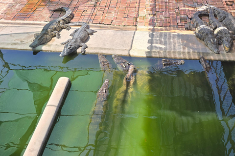 Siem Reap Crocodile Farm Tour With Tuk Tuk Transfer
