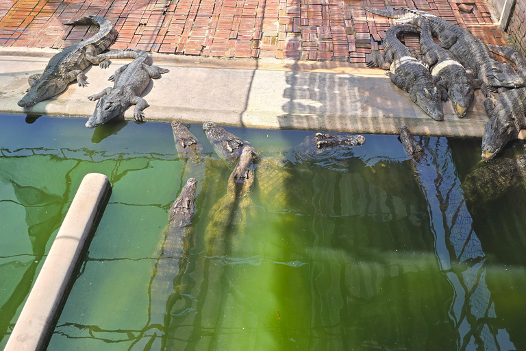 Siem Reap Crocodile Farm Tour With Tuk Tuk Transfer